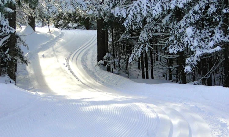 Cross-country ski near NYC
