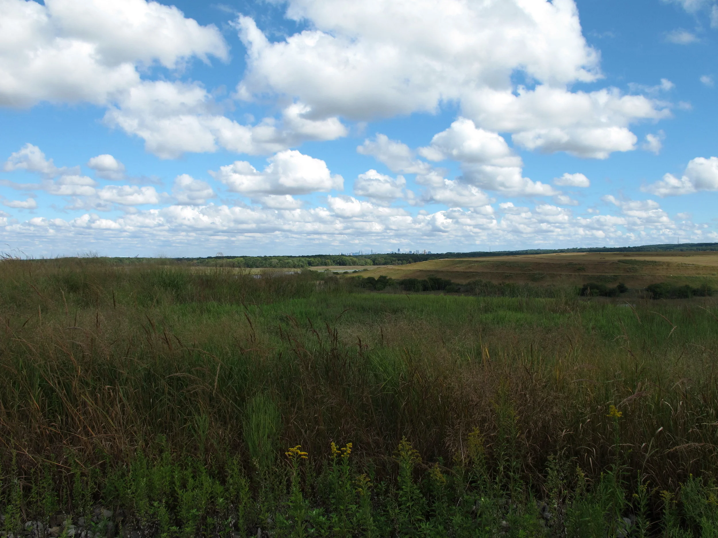 Go Hiking over 150 Tons of Waste 