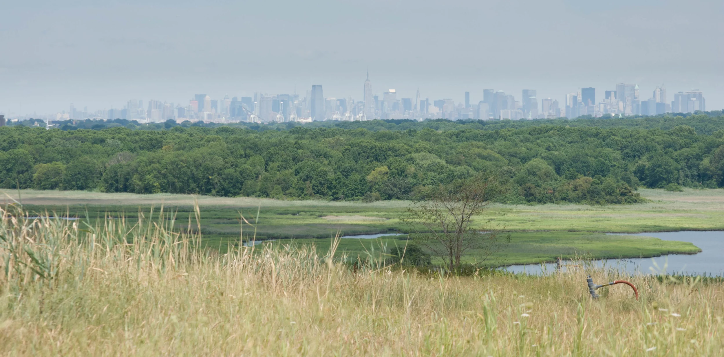 Freshkills Park and the Manhattan skyline. Photo by Kristine Paulus