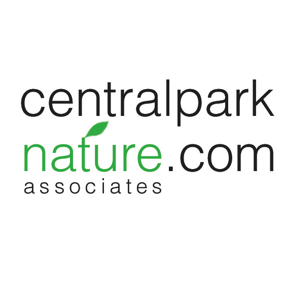 Central Park Nature Square.png