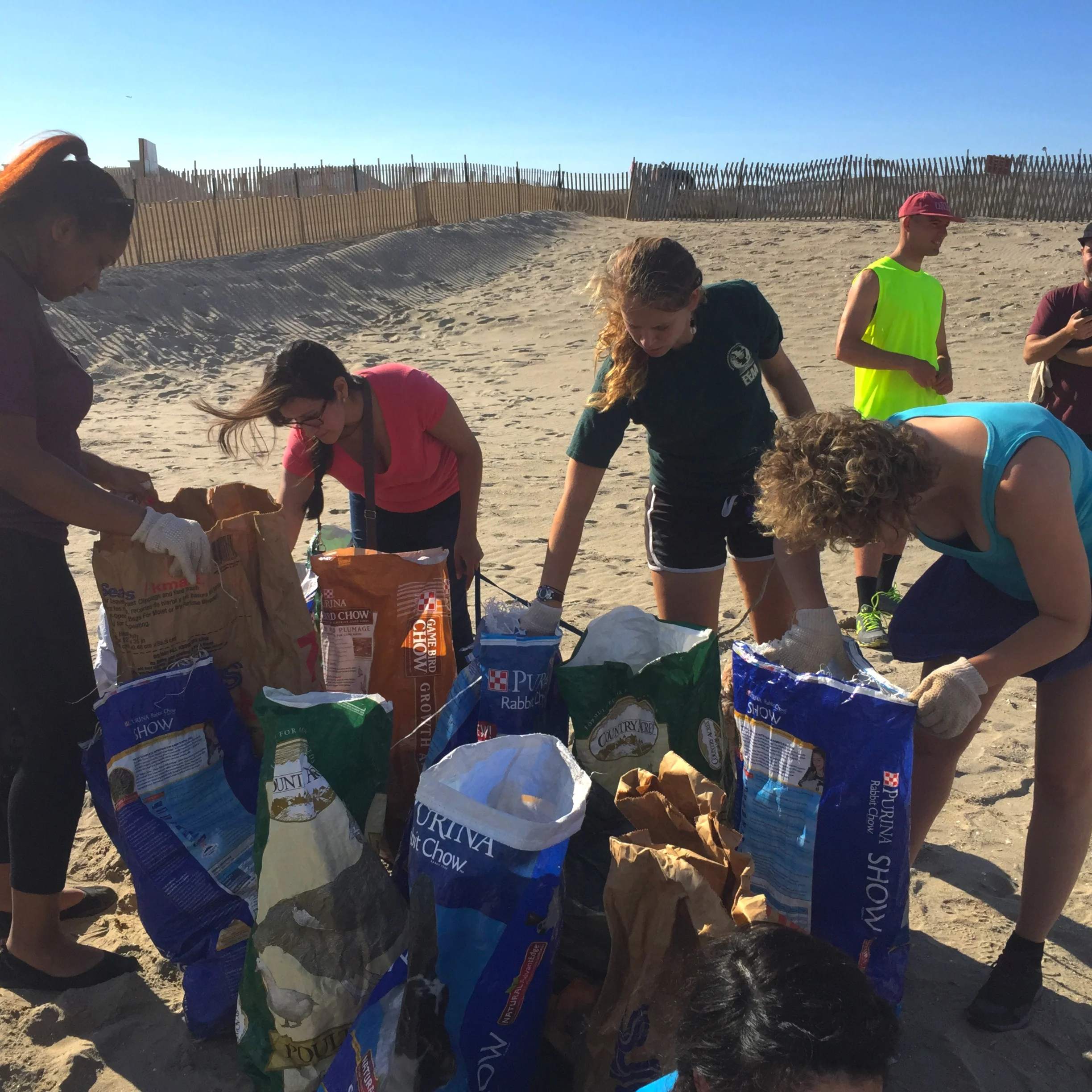 Group Cleanup copy.JPG