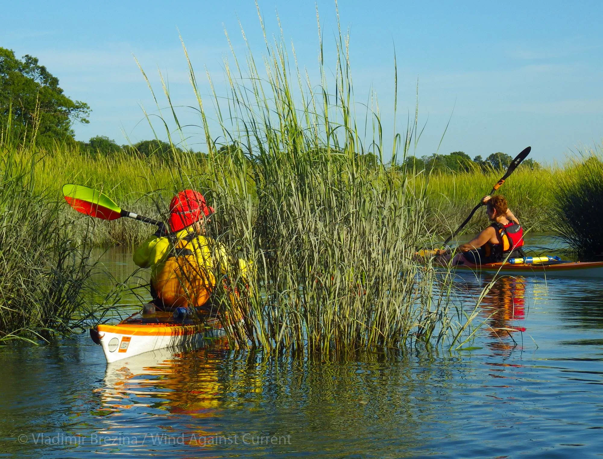 Since we were encouraged not to take our cameras, I didn't get a shot of the Salt Marsh. This photo is by Vladimir Brezina of Wind Against Current.