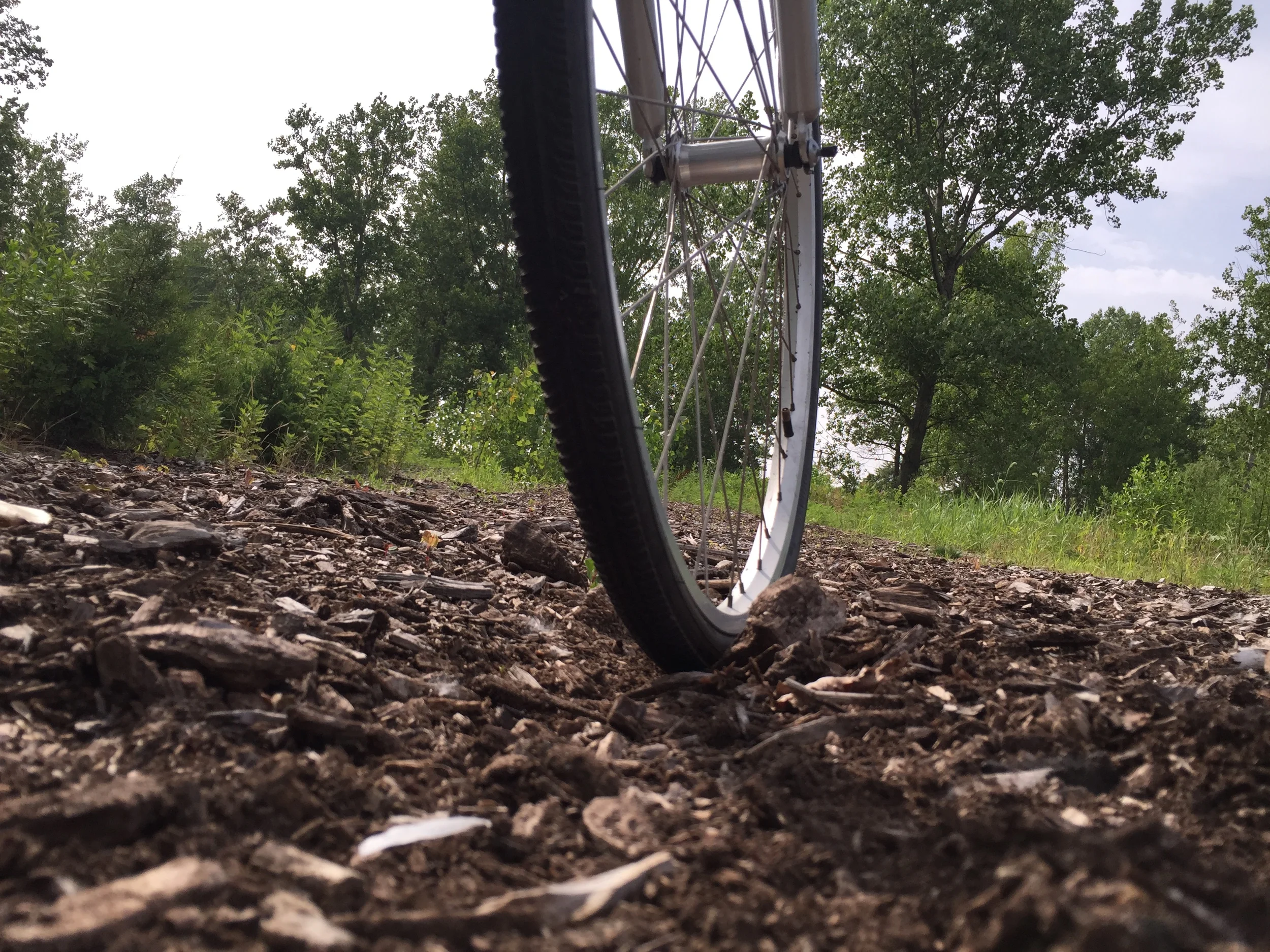 8th Day in Rockaway: Exploring Rockaway Community Park