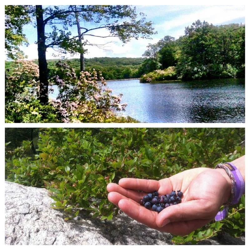 Recommended Events: 7/18-7-25