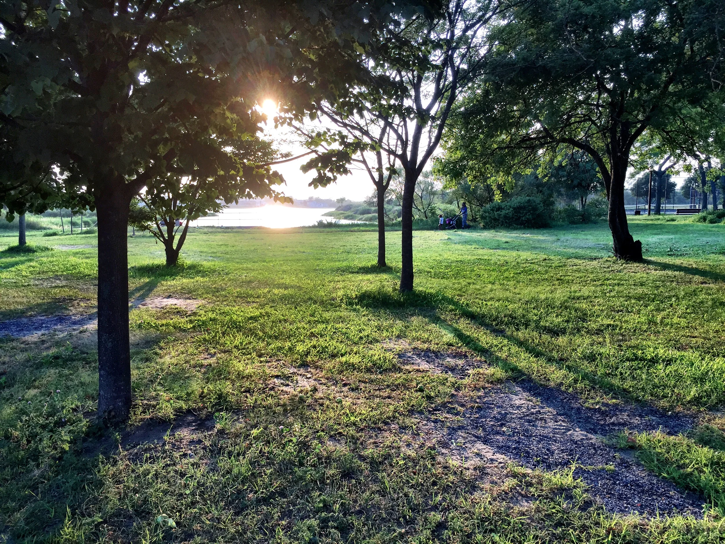Bayswater Park & Norton Basin