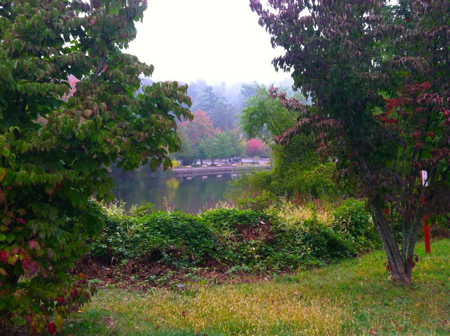 Lakes, trees, and views along the Old Put as you ride from Van Cortlandt