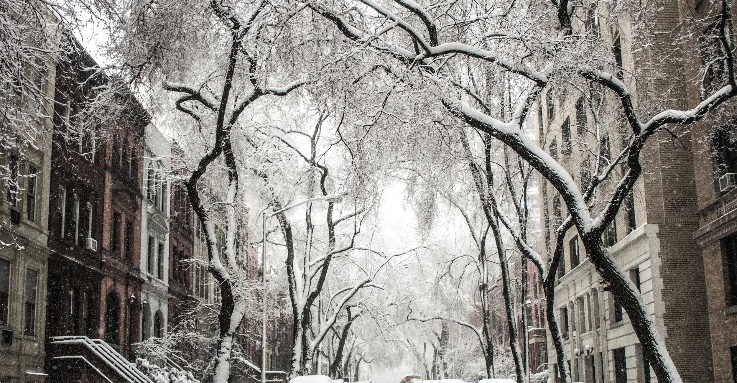 Morning Run with NYRR Coach Honerkamp