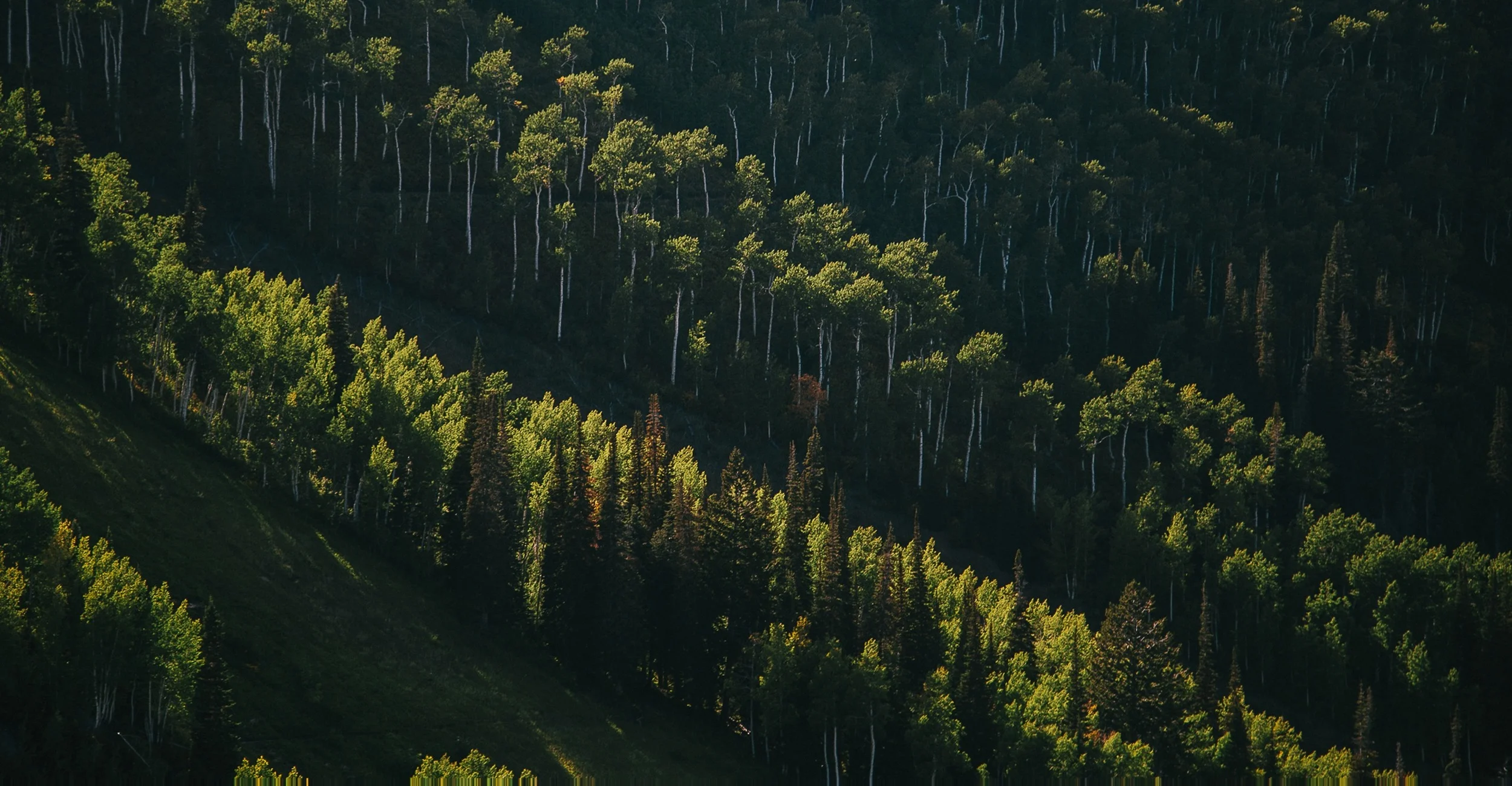 Protecting Nature Panel & Workshop