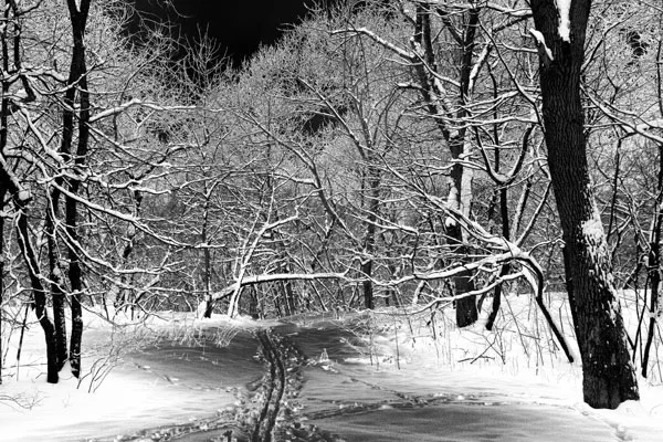 XC Ski Tracks in Central Park by Harlem resident Joe S.