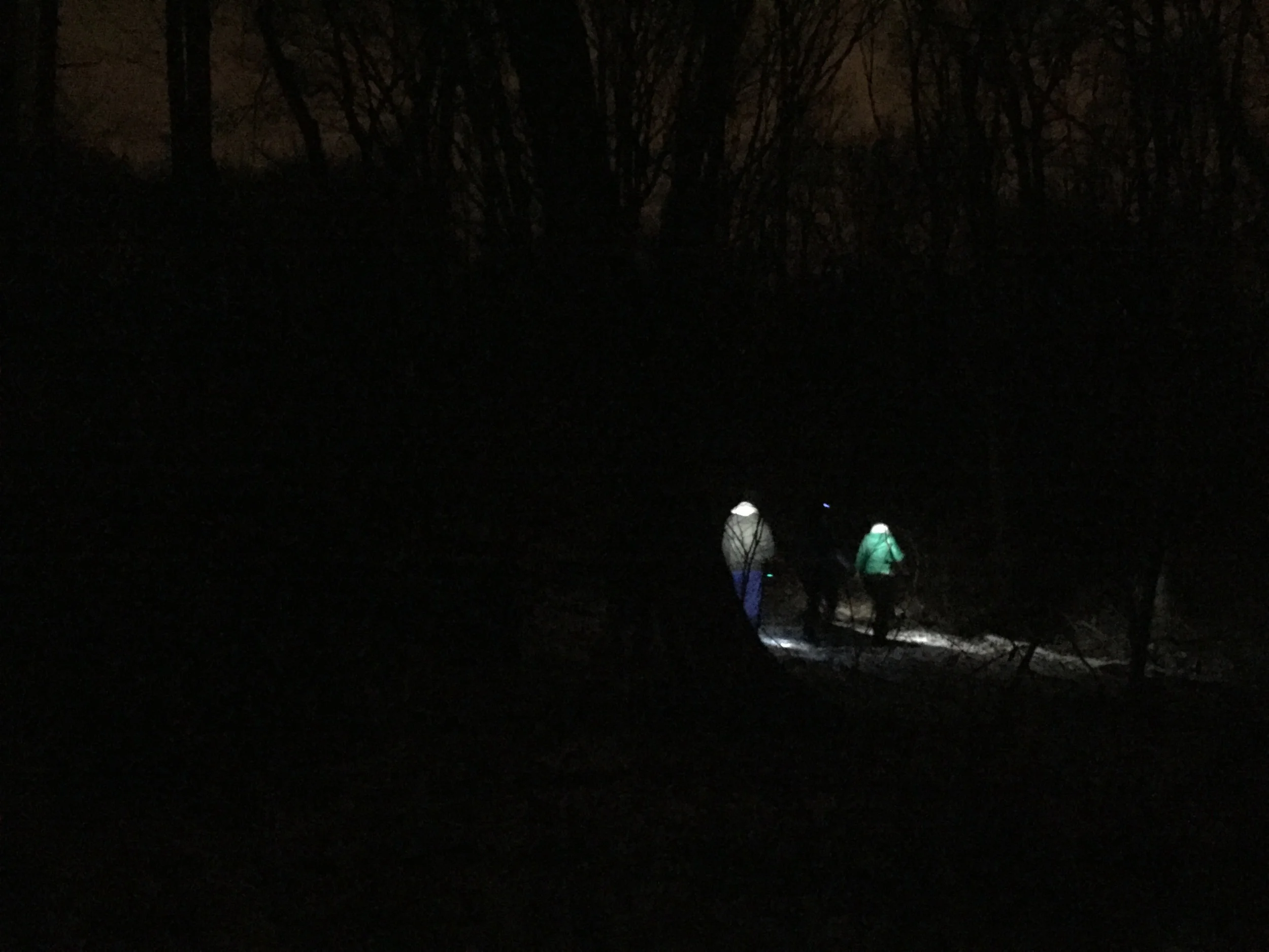 Night Hike on the Staten Island Greenbelt