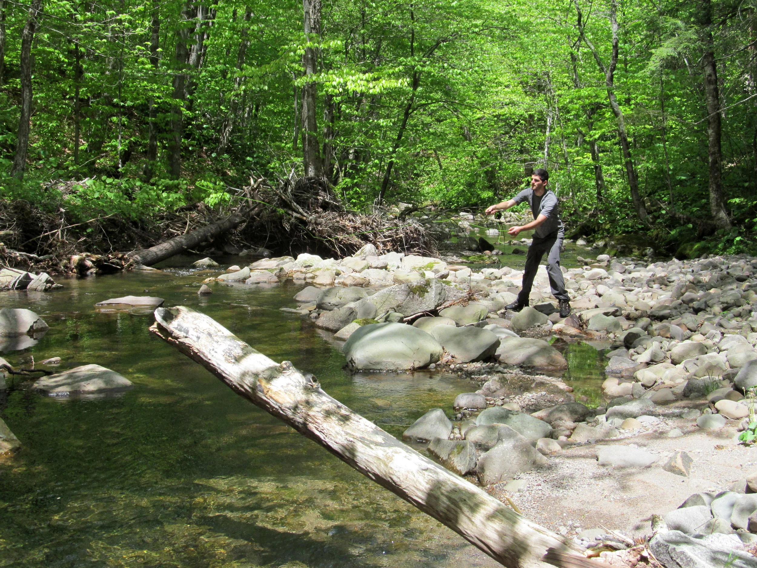 Fly Fishing in the Catskills