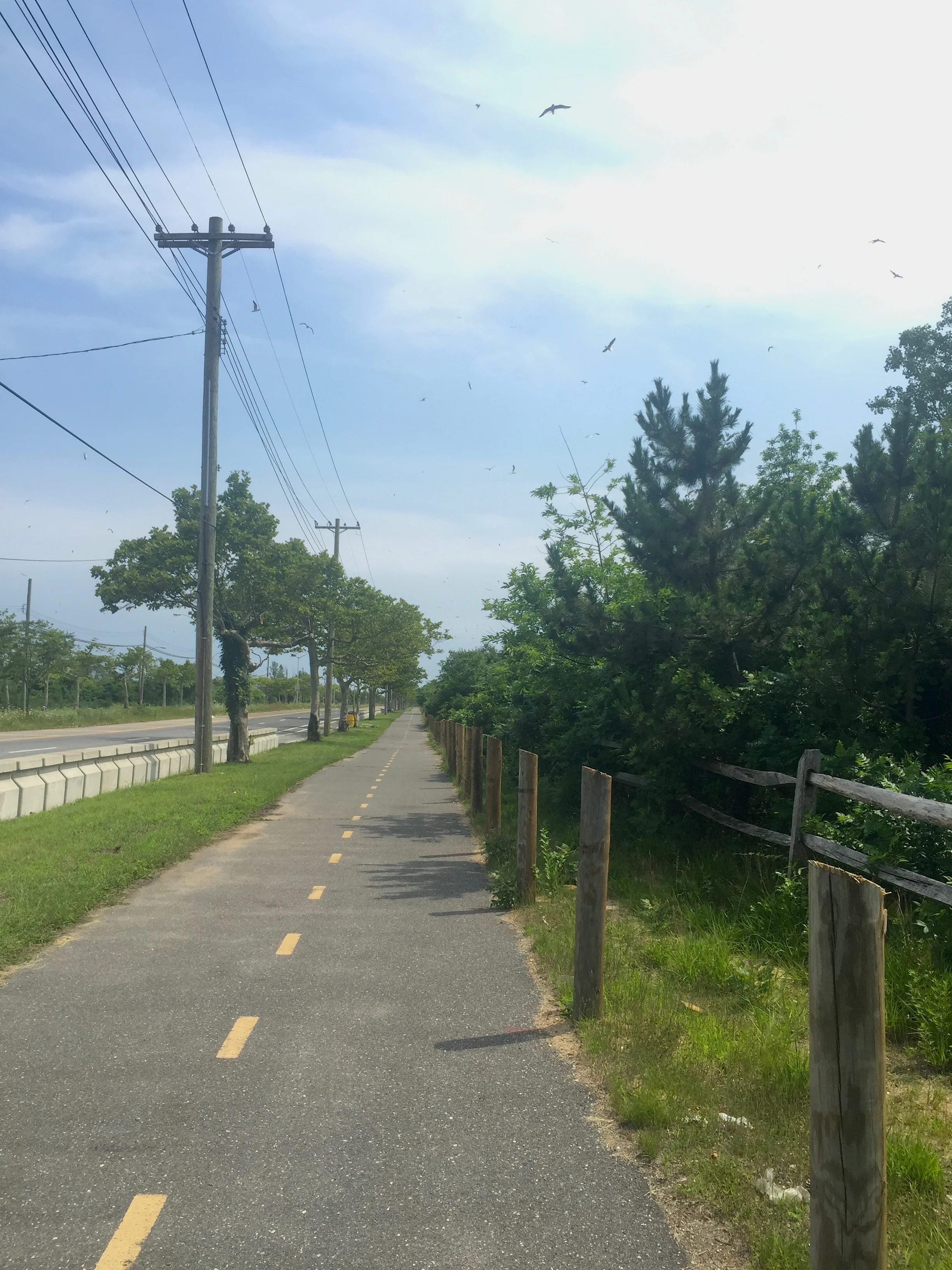 Photo of the Jamaica Bay Greenway by Sarah L. Knapp