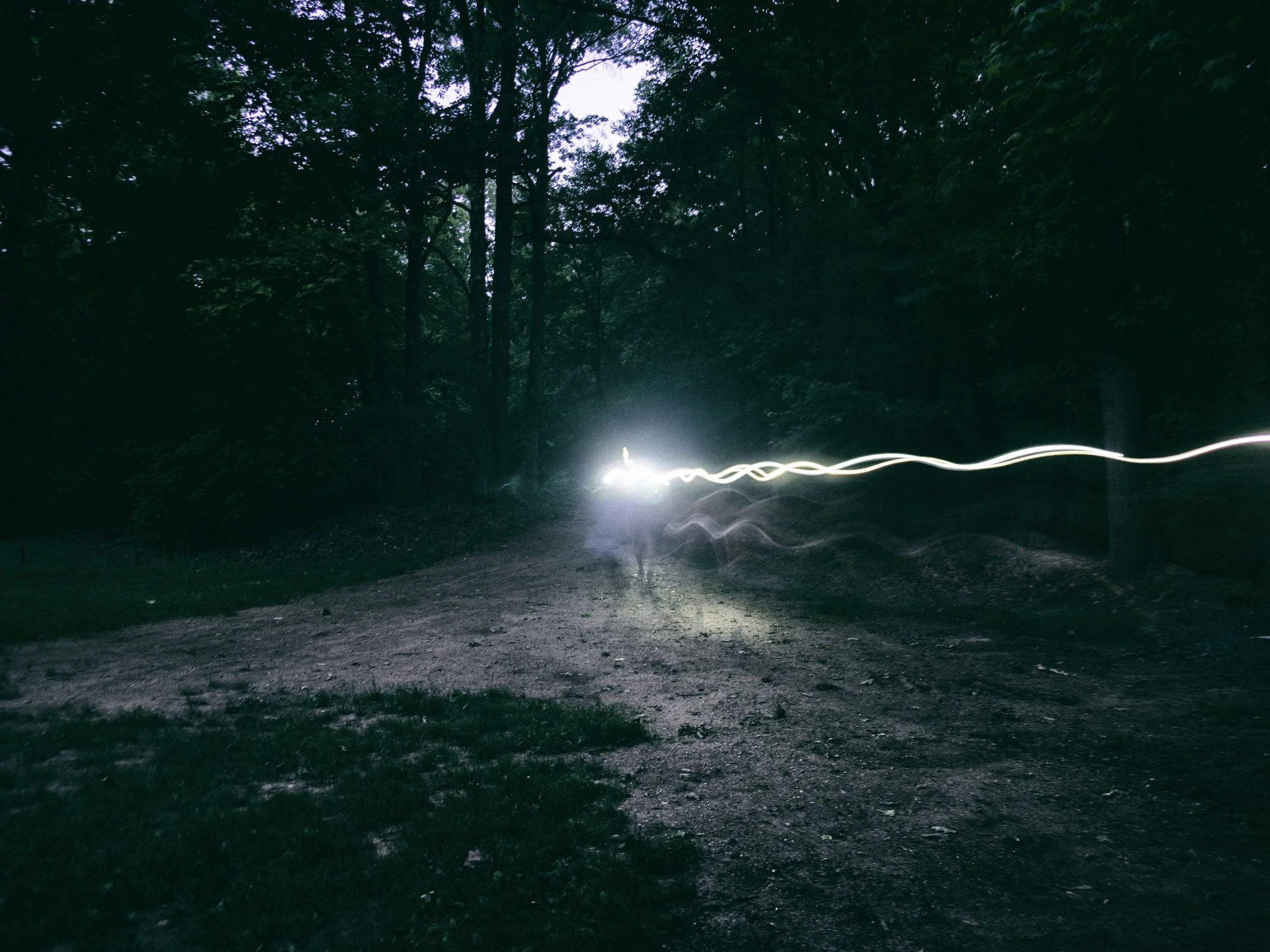 Headlamps on the move.. By Tom O'Hare