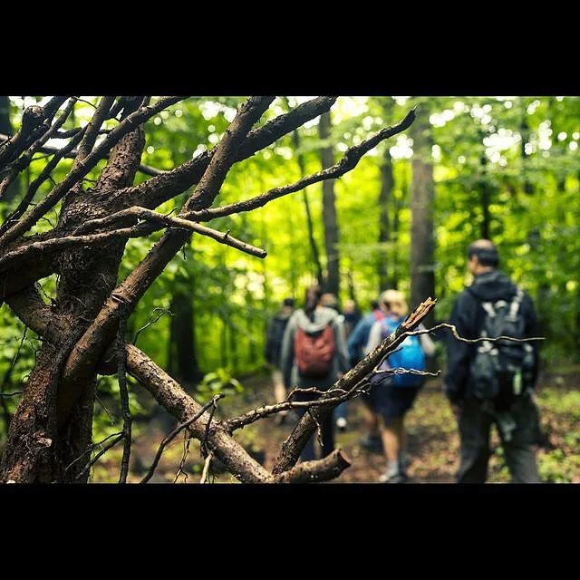 MO_SKEL Long Path.jpg