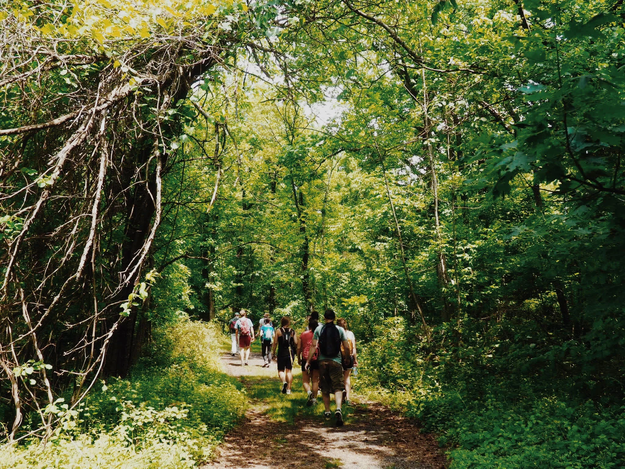 The Long Path.jpeg