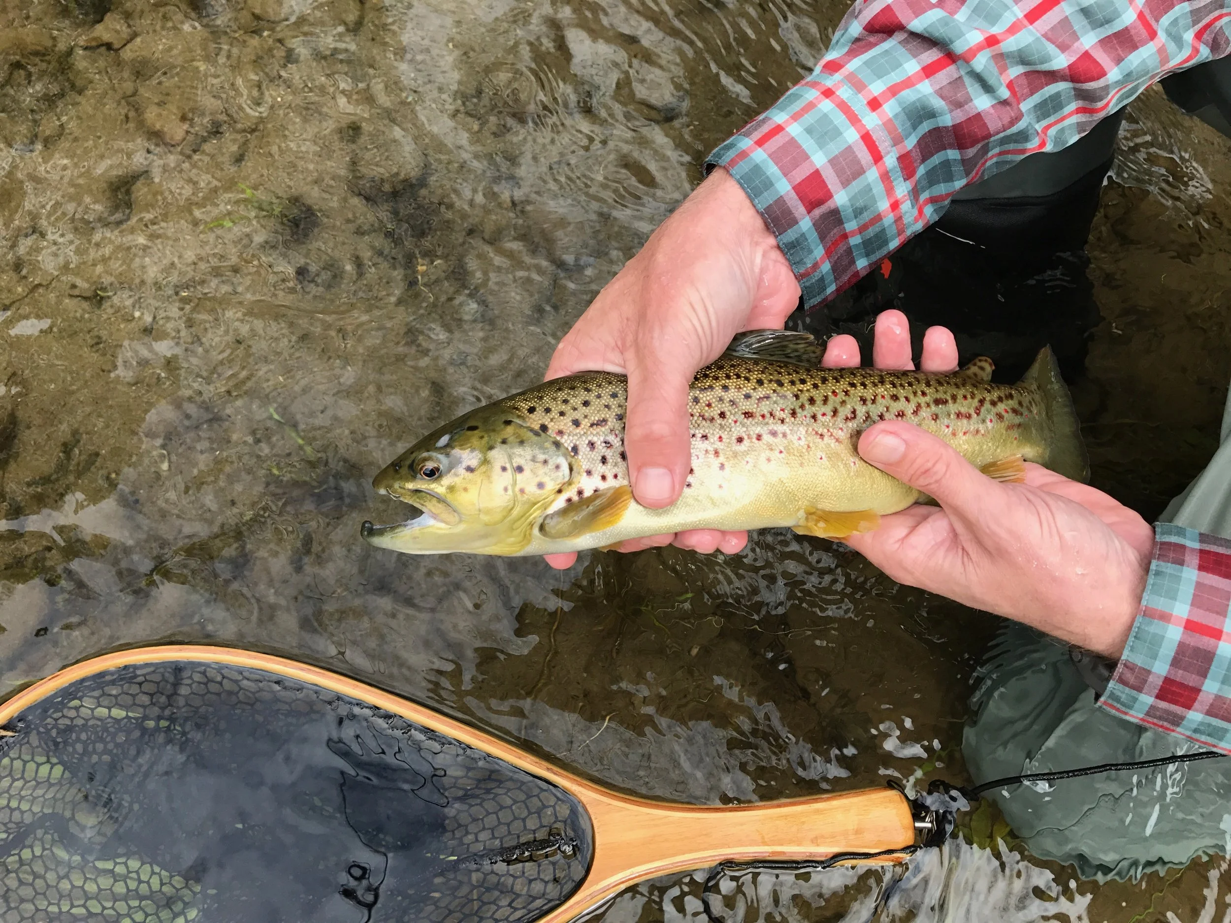 The Five Best Places to Go Fly Fishing Near NYC — OutdoorFest