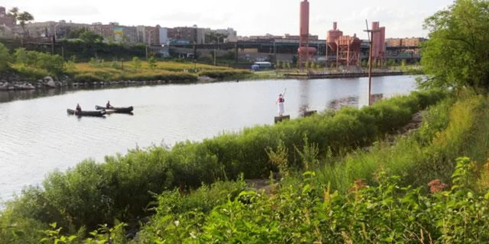 Paddle an Estuary in the Bronx