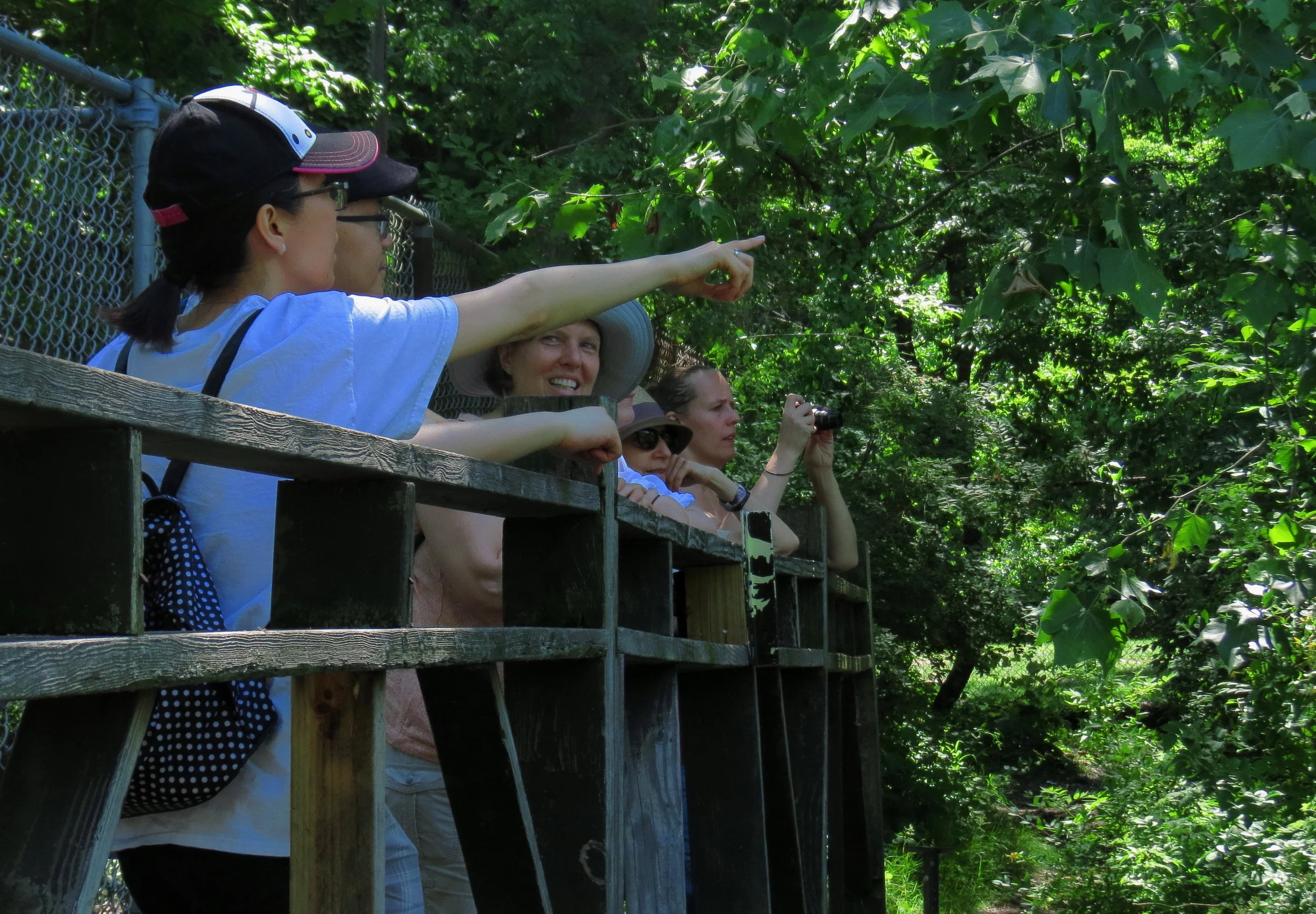 Hike-toberfest 2017 at Van Cortlandt Park