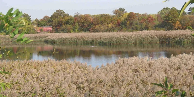 Ridgewood Reservoir Community Tour