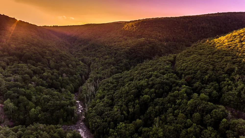 Catskills Drone 1 copy.jpg