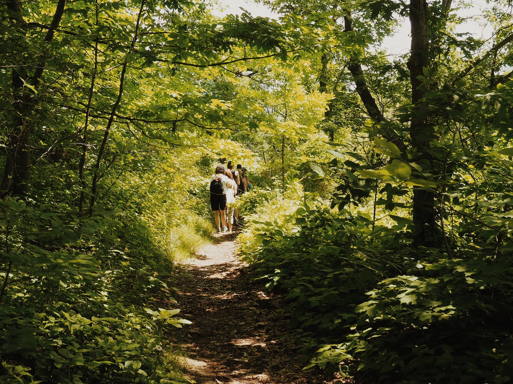 NYC Trails Guide: The Best Hiking in Each Borough