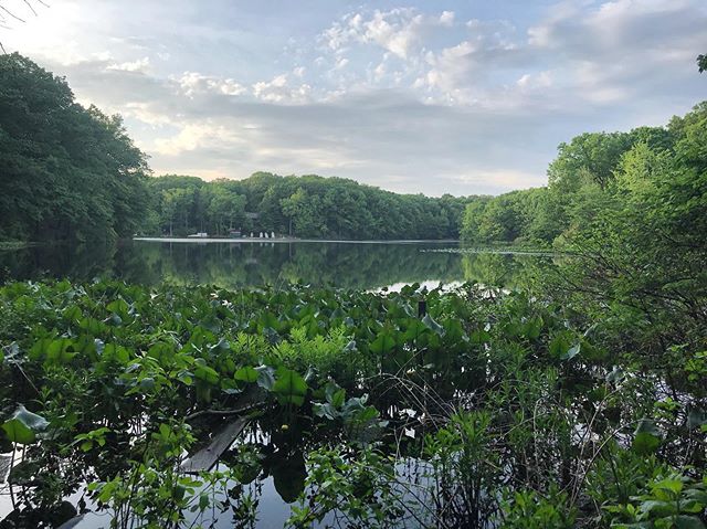 5/23/19 | The Staten Island Greenbelt 🤩
&bull;
We can&rsquo;t wait to play, relax, hike and run there NEXT weekend! #greenestborough #visitstatenisland #statenisland #timetoplay #outdoorfest2019