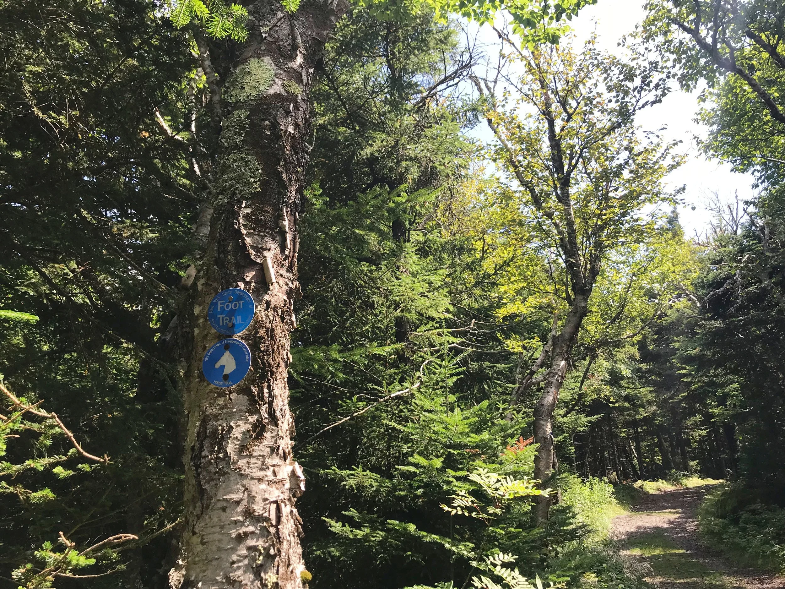 Hunter Mountain: Fire Tower Views and Delicious Brews