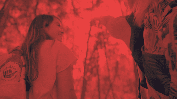 ifgsitevid-goodfoux-high.gif