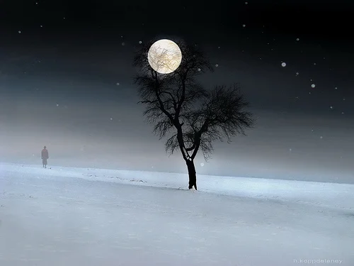 solitude.jpg
