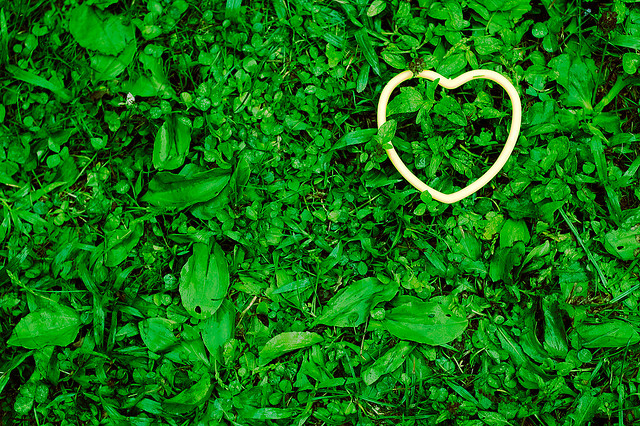 Photo Credit: David Goehring / flickr / Creative Commons