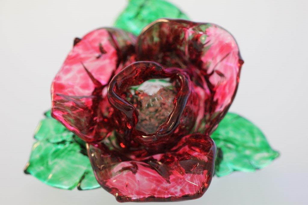 Blooming Flower by Barbara Rumberger