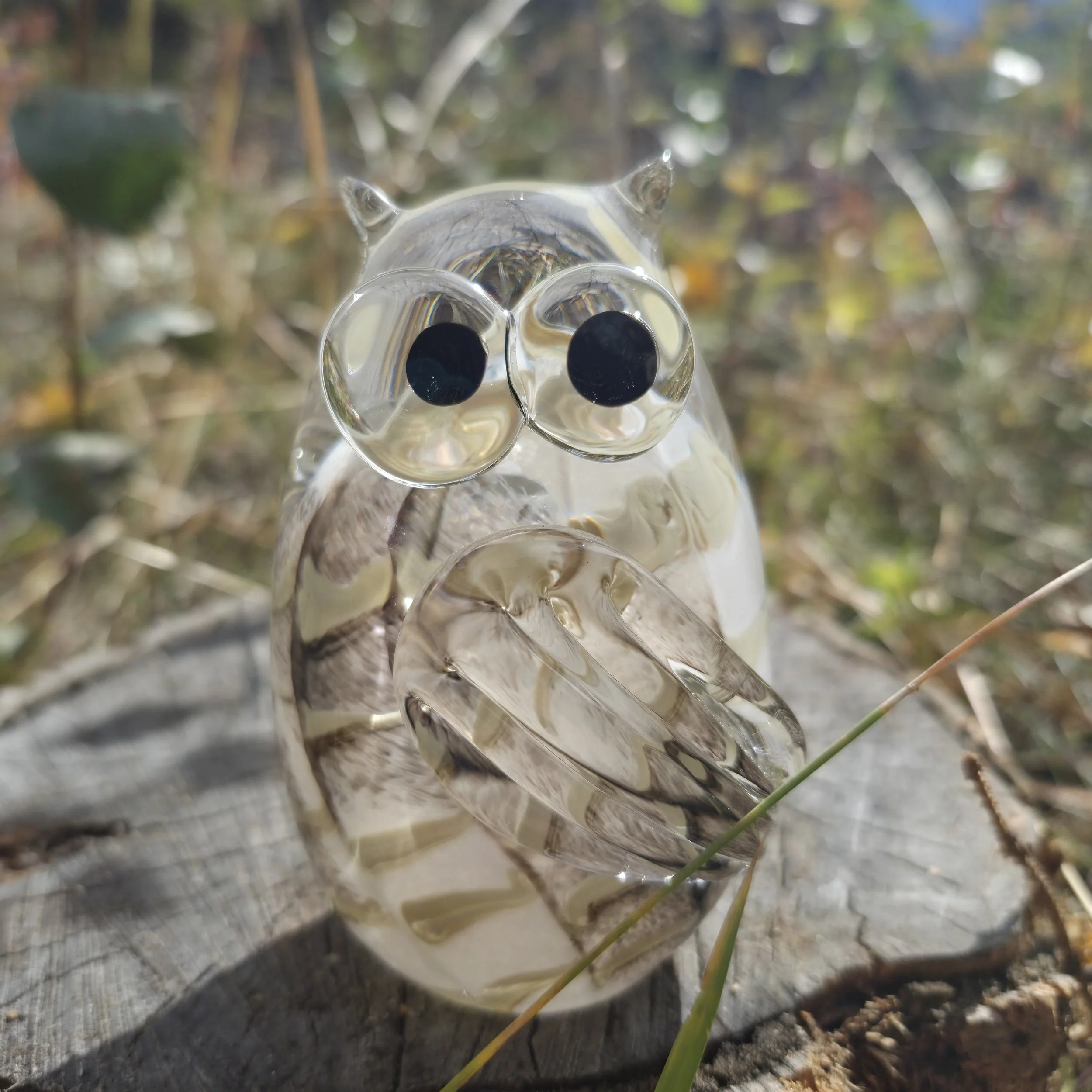MMG_Owl.sly.jpg