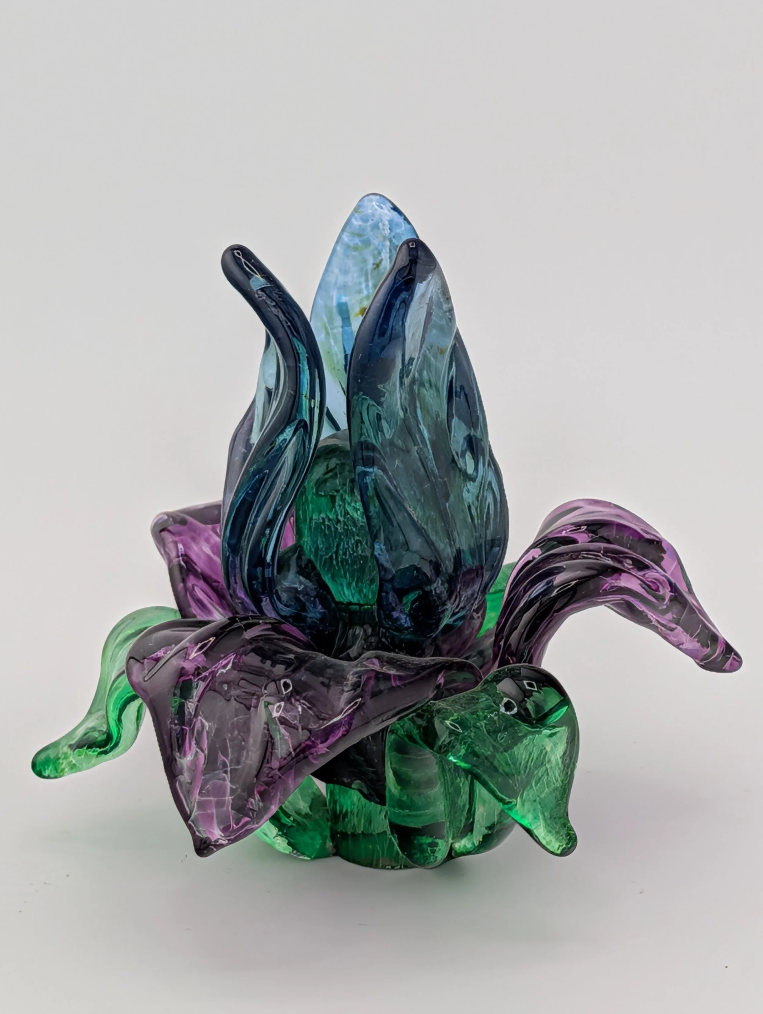 Iris by Barbara Rumberger