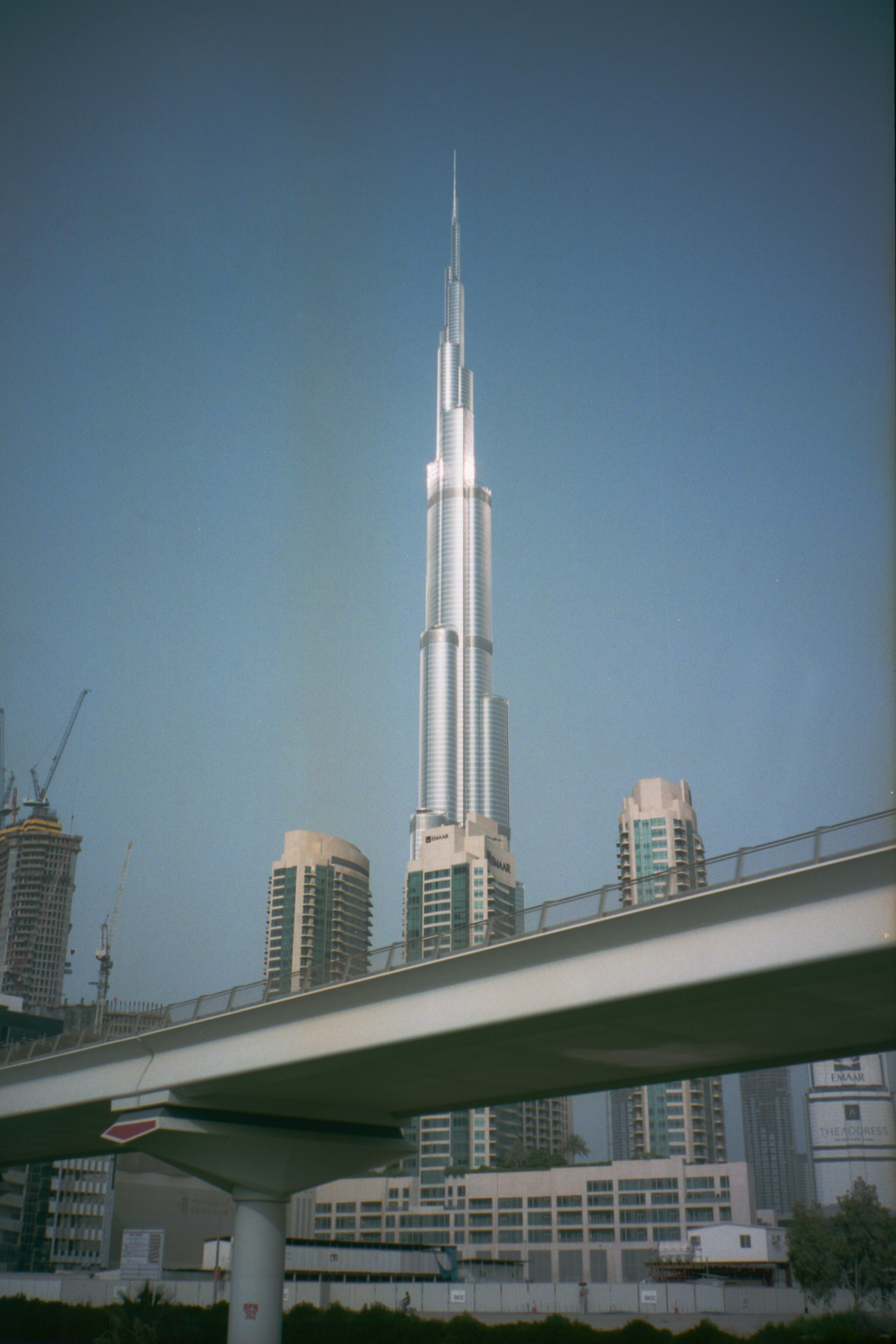 img042 copy_l.jpg