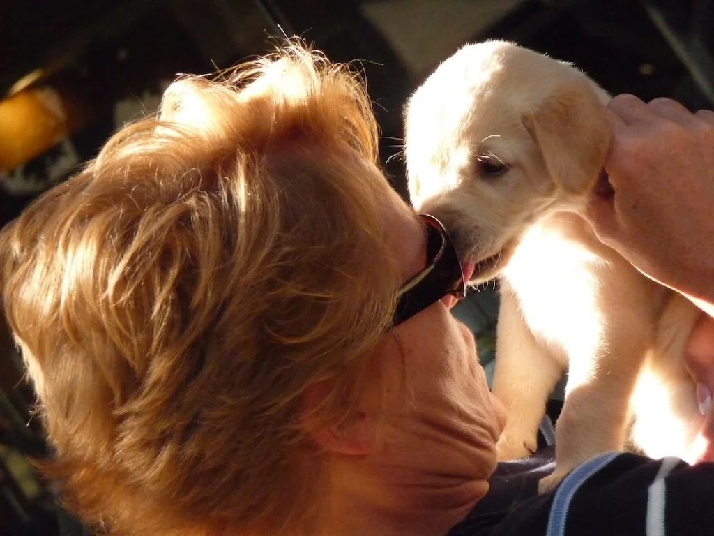 August Dog Rescue20.jpg