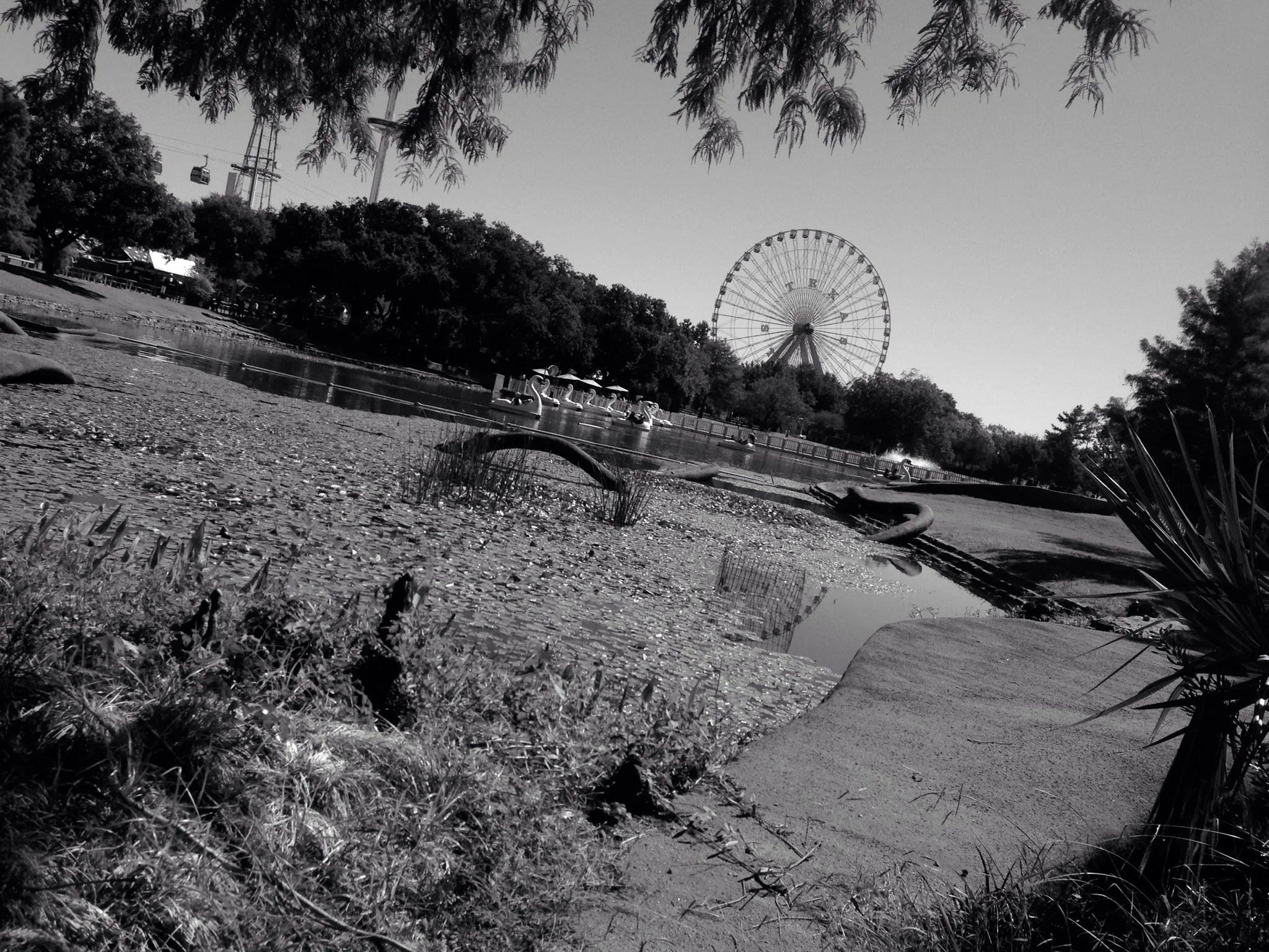 Counting the days! State Fair Of Texas