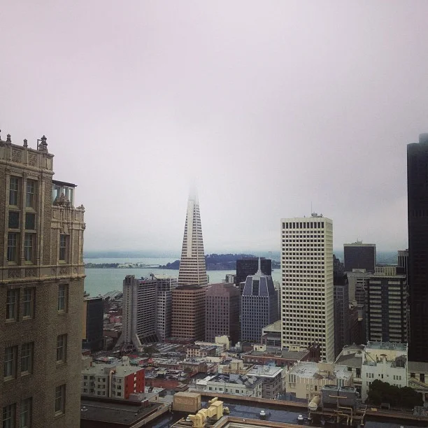 SF.jpg