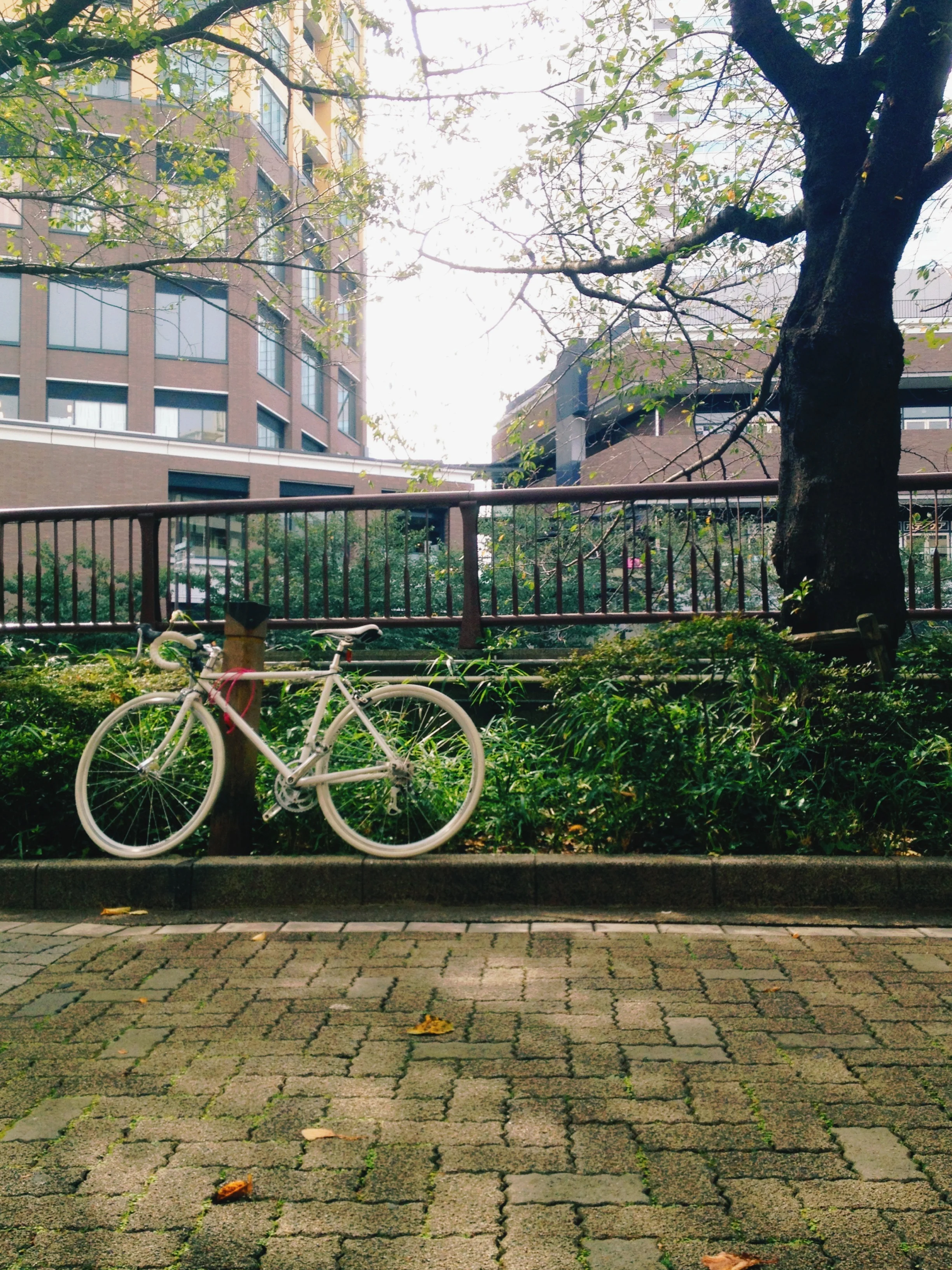 Bicycle by the canal in Meguro