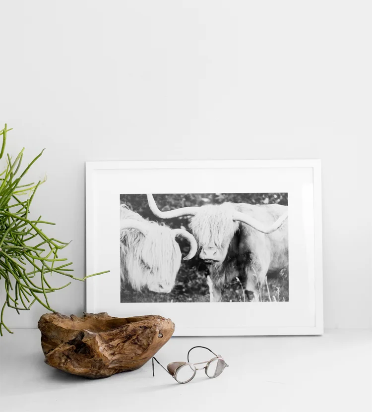 Veda House | Photo Styling for Minted for West Elm