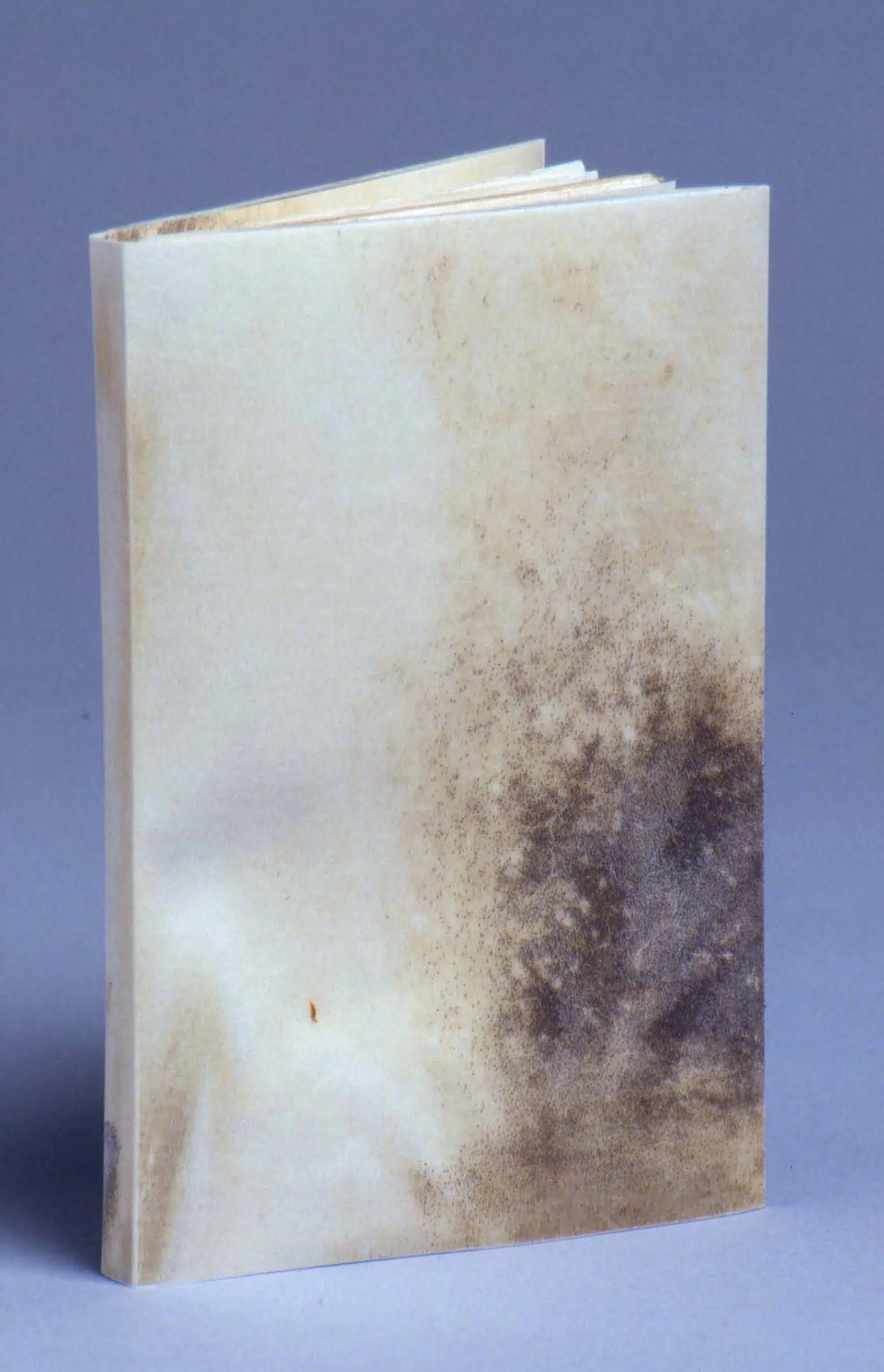 2005