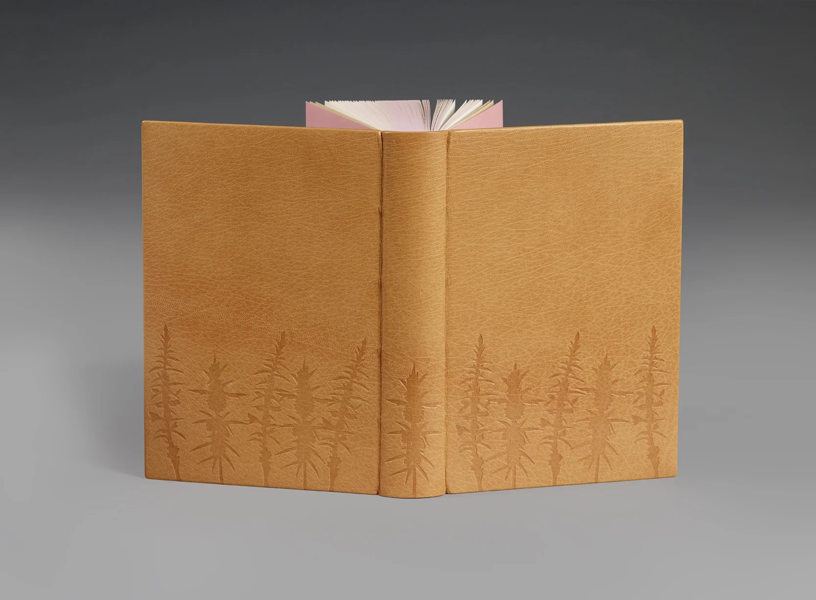 2017 The Return of the Native. Thomas Hardy. Heritage Press, USA 1970. Illustrated with woodcuts by Agnes Miller Parker. 230x170x41mm Photography by Prudence Cuming Associates Ltd. Bound in full dark yellow goatskin with de-bossed gorse shapes. All edges airbrushed with acrylic paint. This novel is centred around the landscape: the gorse-covered heathland, which Hardy describes beautifully throughout the story. My inspiration came from these descriptions, focussing on gorse, heather and late-summer light.