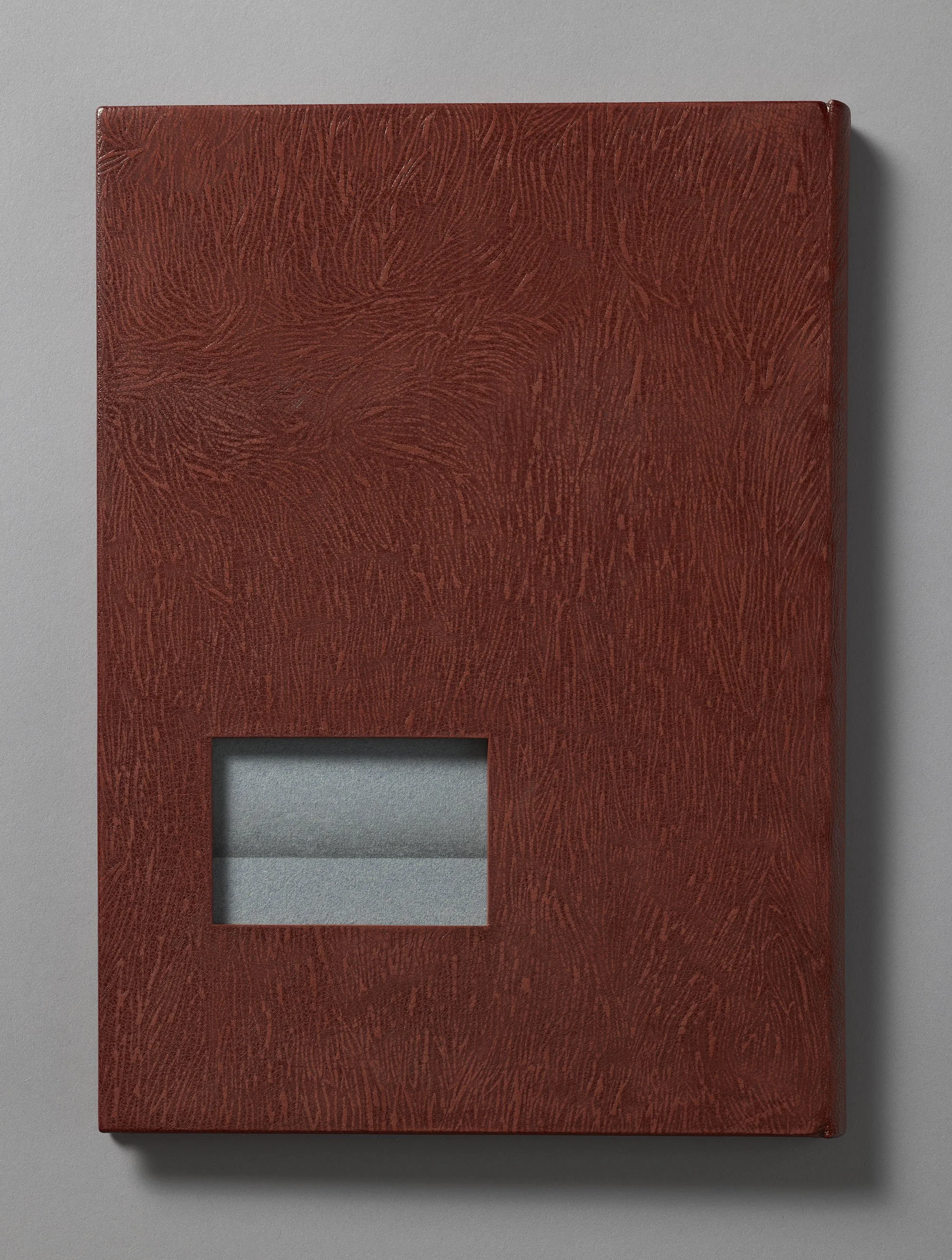    SAFETY .   Back view. 