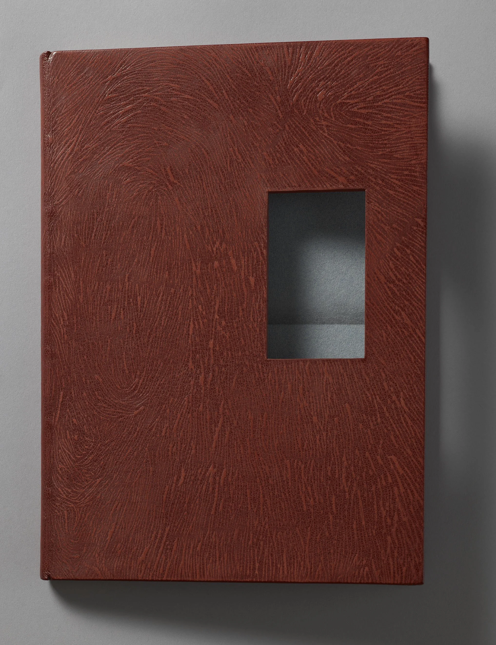    SAFETY .   Front view with board ajar. 