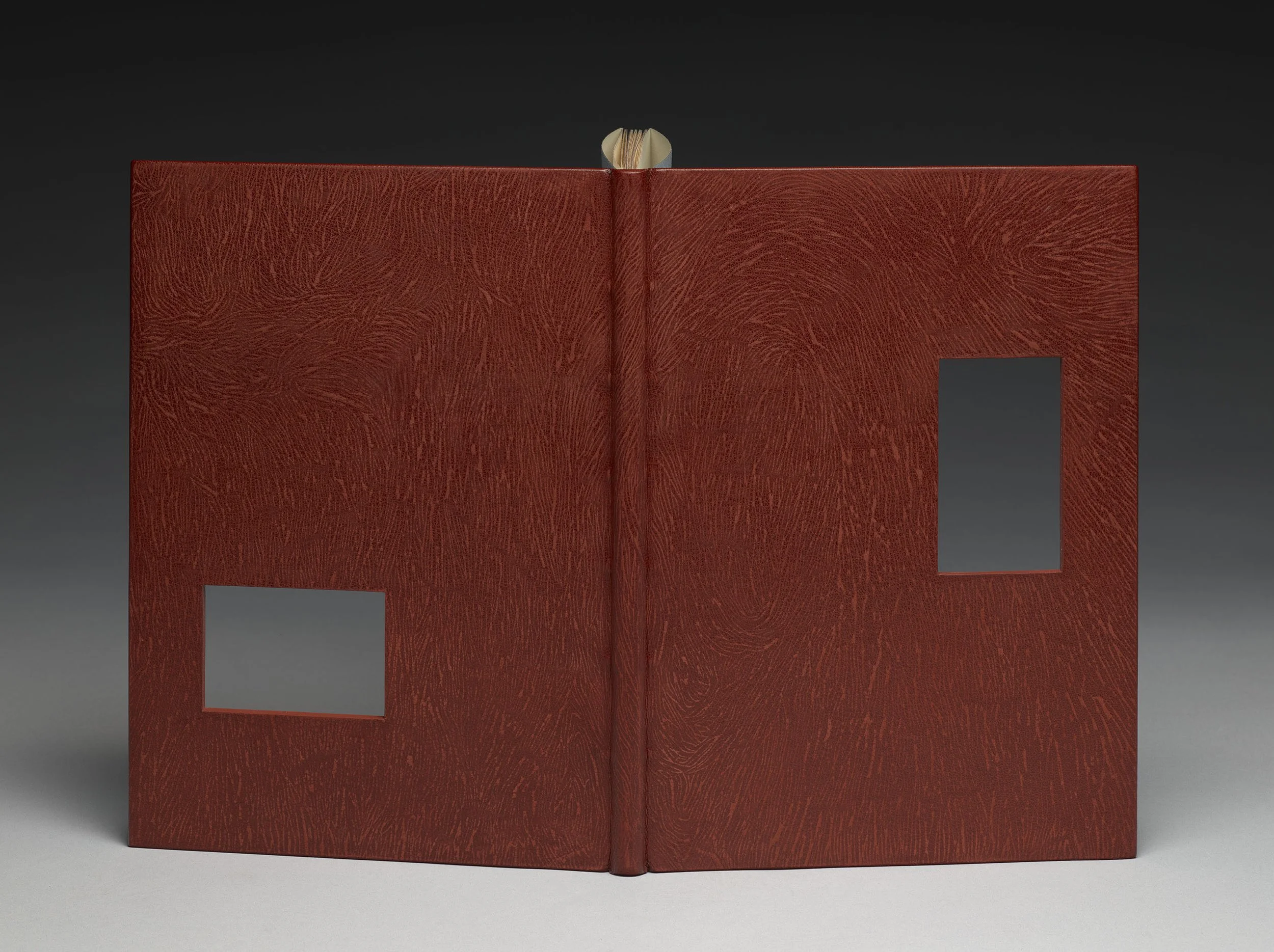    SAFETY .   Full view. 