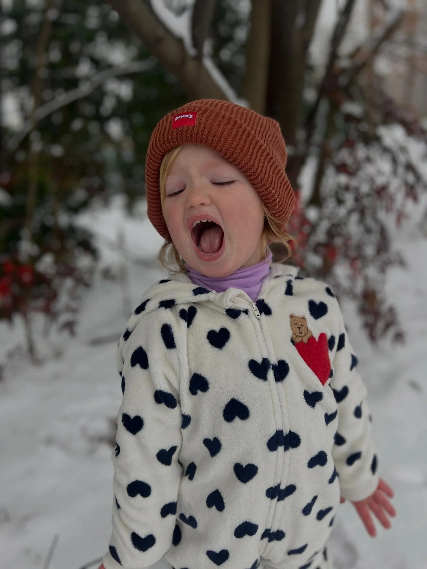 A picture for each month. 2025 felt like about 6 years!