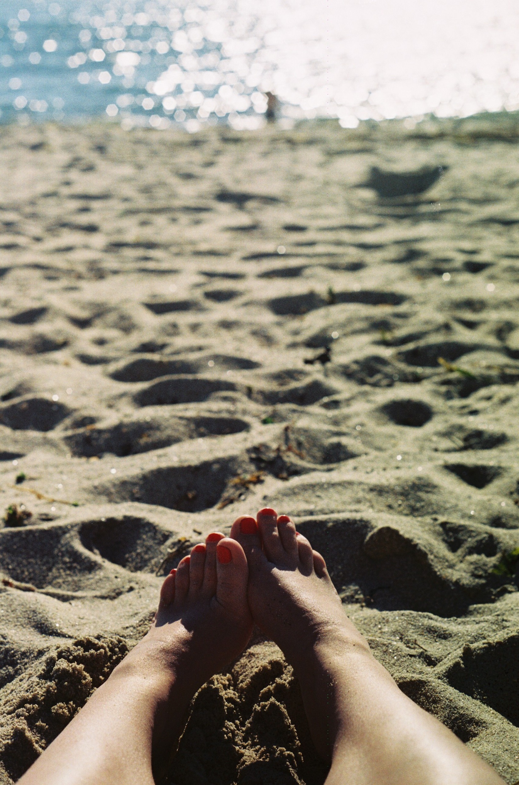hosting a barbecue and beach day with our friends. 