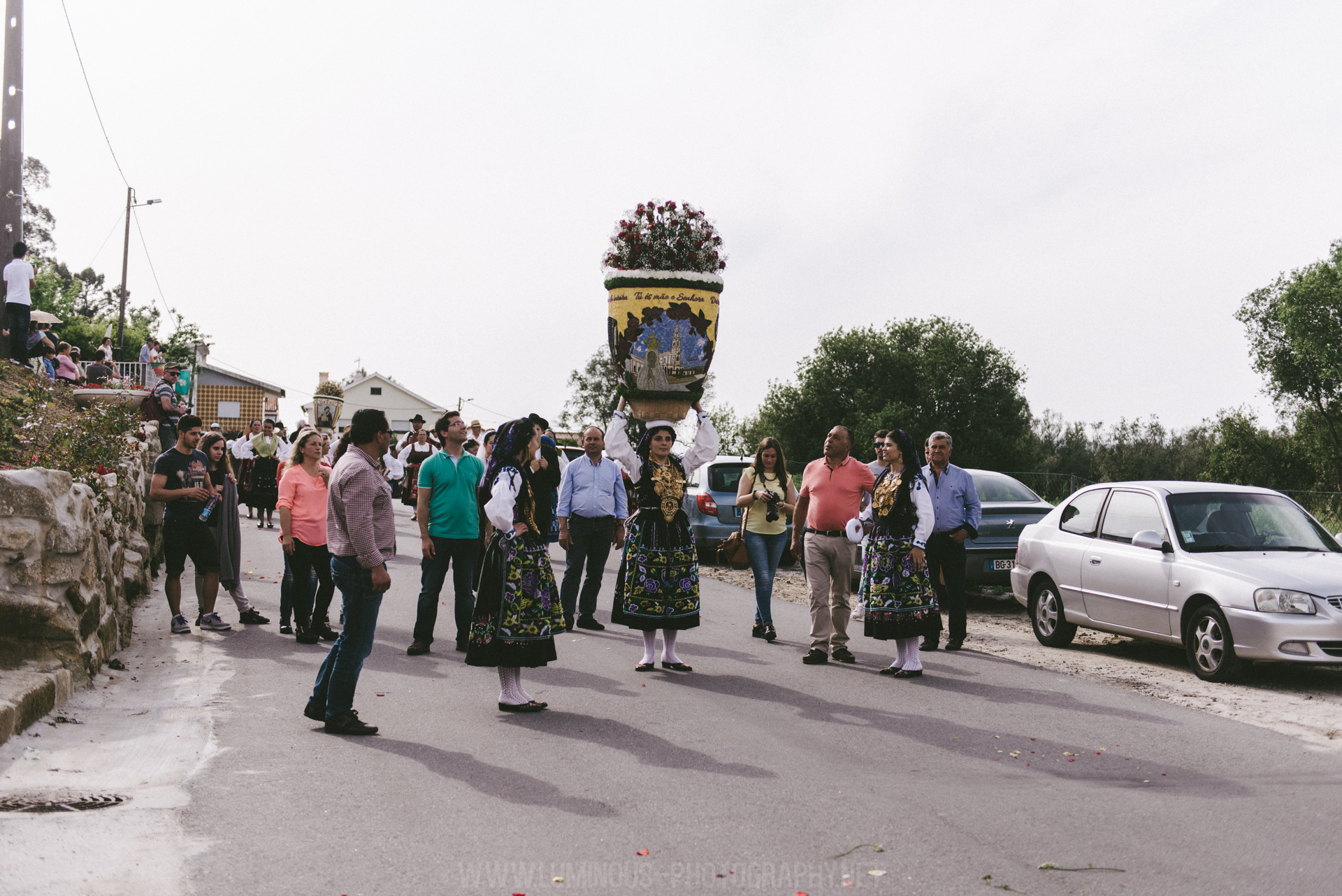 Rosas-peq-347.jpg