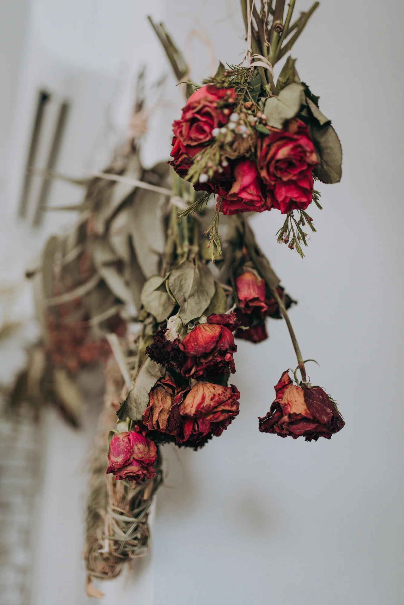 botanica_workshop_luminousphotography-11.jpg