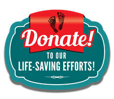 Click Here to Make Donation Online