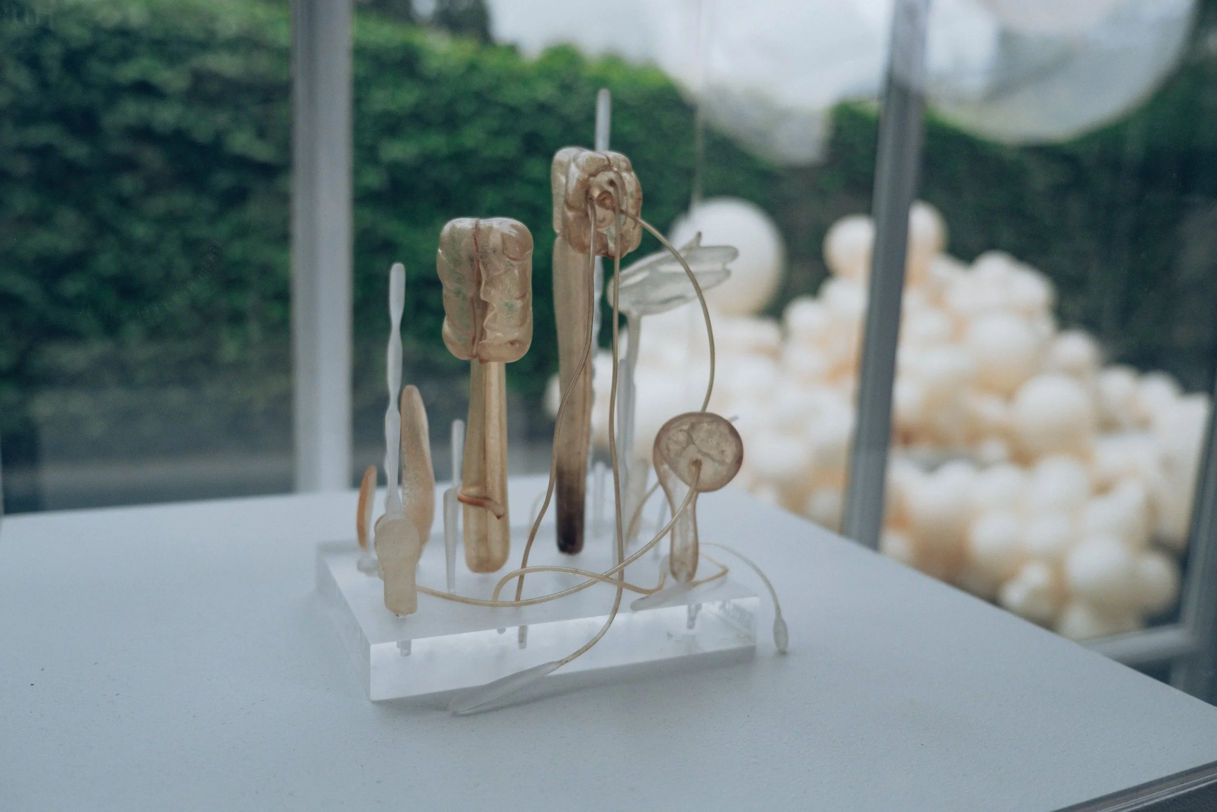 Copy of AVANTARTE_GS_AB-44.jpg